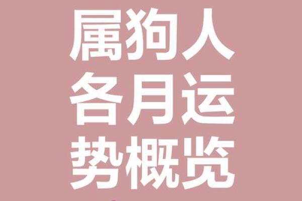 探秘2018年属狗生肖命理：性格特质与事业运势解析