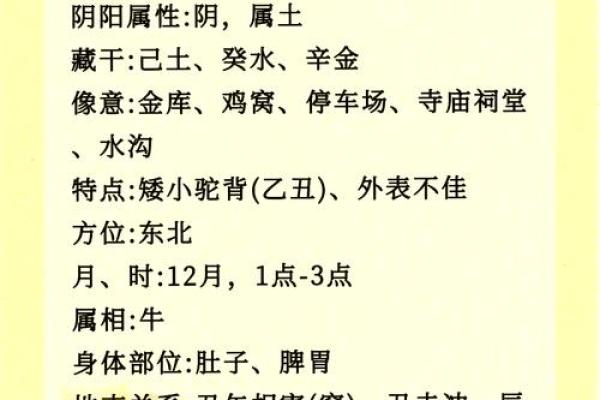 1996年腊月出生的人命理解析：月令与五行的奥秘