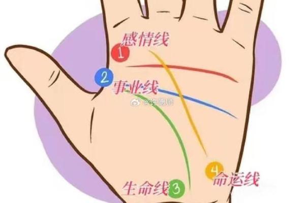 阴历9月20出生的人与命运的秘密探秘