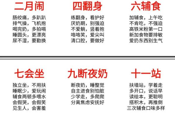 2018年阴历11月出生的宝宝：命运与性格解析，适合的职业与发展方向