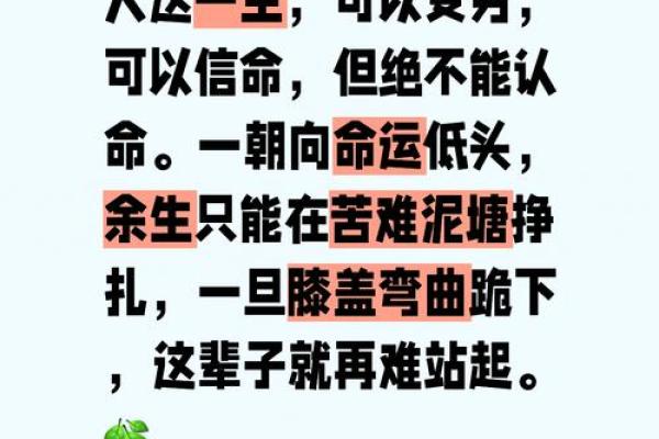 捡了一条命：重生后的新生活感悟