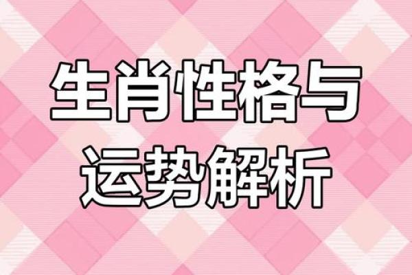 2019年是什么属命？解码生肖与命运的奥秘！