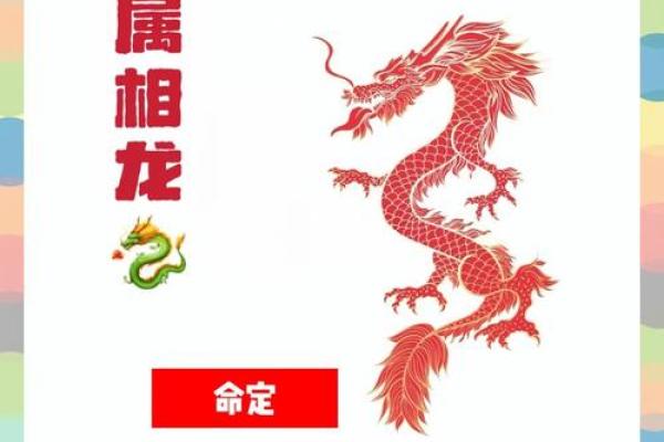 2013年属龙的命运解析：揭示财富与幸运的密码