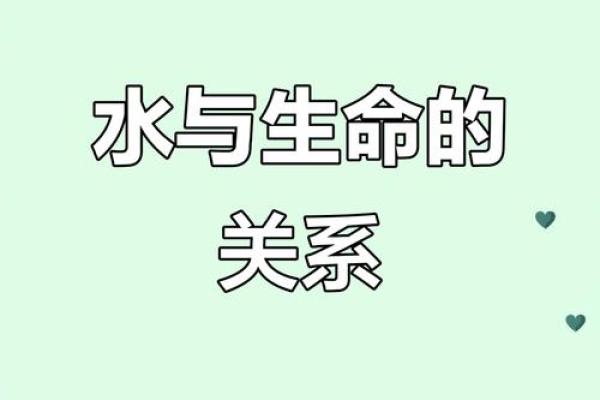 探寻2012水命的奥秘：命理与人生的深刻联系