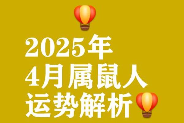 2020年鼠年：命理解析与人生运势深度探索