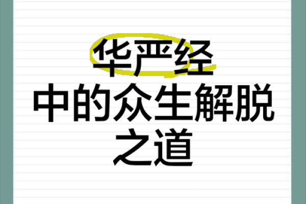 为何我的命运总是如此辛苦？探寻背后的奥秘与解脱之道