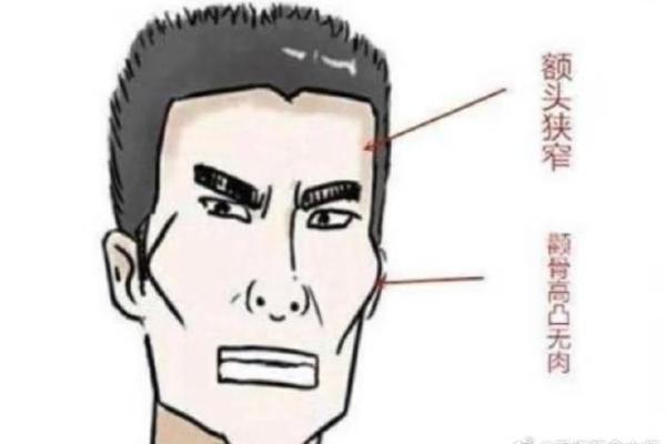 额头宽的男人命运揭秘：从面相看人生轨迹与成功之道