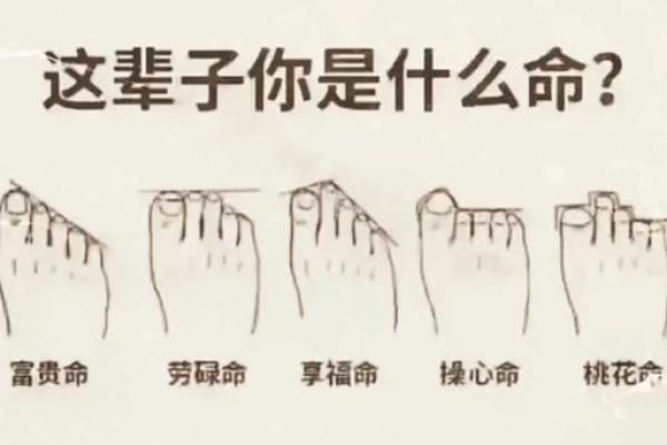 脚趾高低与命运的秘密：探索身体与人生的奇妙联系