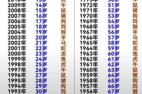 甲辰年生人命运解析：揭示你的性格与运势之路
