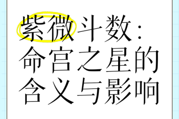 深入解析印绶格：揭秘命格与命运的奥秘与影响