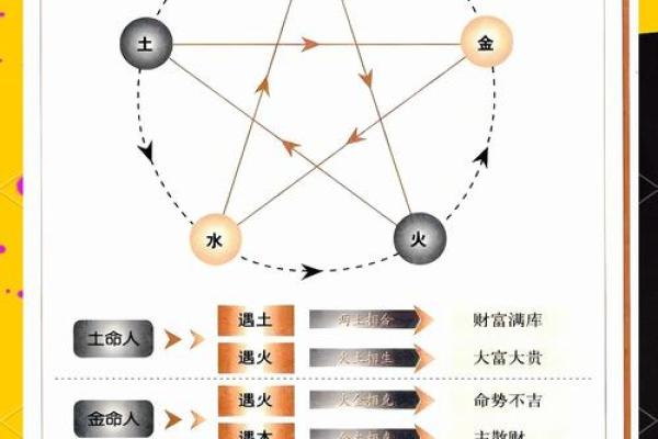 1954年出生的金命之人：探索命运背后的秘密与魅力