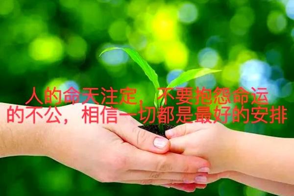 命里头太多的意义与人生启示：探索命运的奥秘