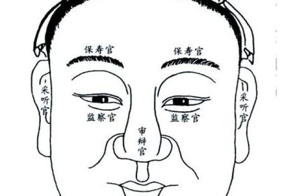 探寻癸亥年生人的命理奥秘与人生轨迹