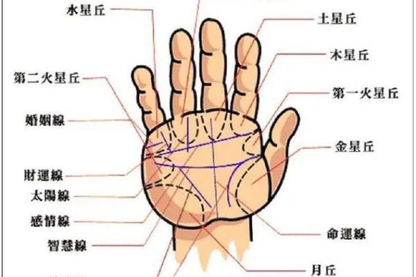 看手纹，解读你命中注定的未来与运势