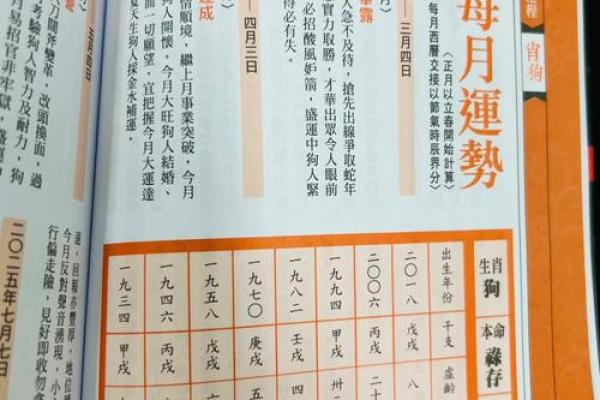 2018年属狗的人命运分析：探索命理的秘密与生活的启示