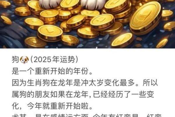 2018年属狗的人命运分析：探索命理的秘密与生活的启示