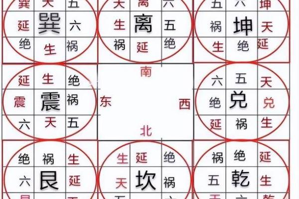 东四命的最佳楼层选择：揭秘风水与居住舒适度的完美平衡
