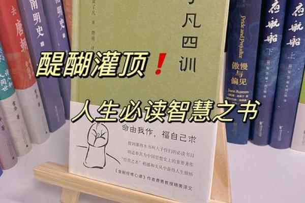 2010年正月虎年命运解析：勇敢者的旅程与人生智慧
