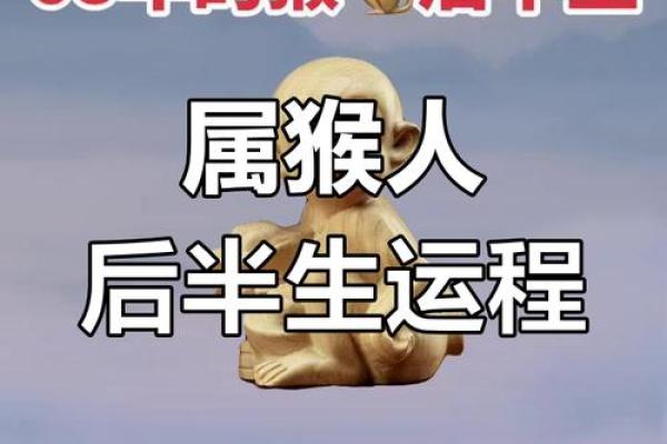 1981年猴子的命运：揭秘属猴者的性格与运势