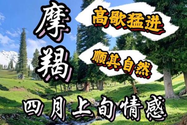 1968年属什么命：探寻摩羯年出生者的独特人生轨迹