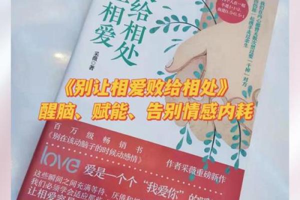 命理与婚姻：选择适合自己的伴侣的智慧之路