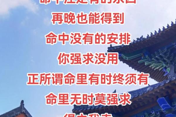 探索命运与代数：人算卦的智慧与人生的启示