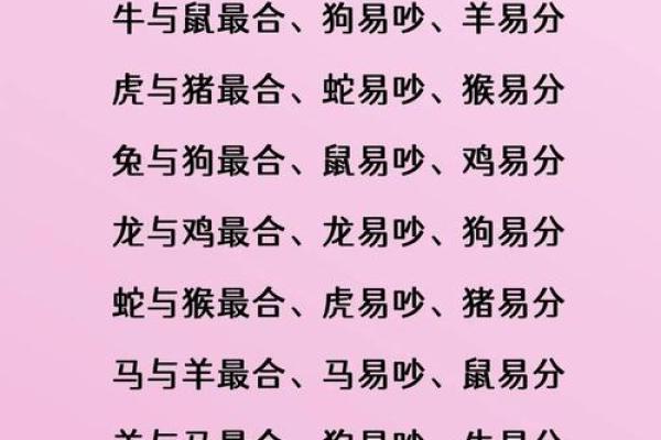 壹玖玖玖年属兔命运解析与人生启示