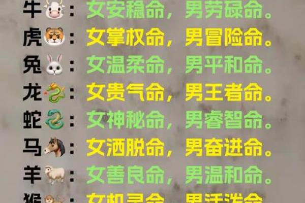 阴历1972年出生的人：你的命运之旅与人生运势解析