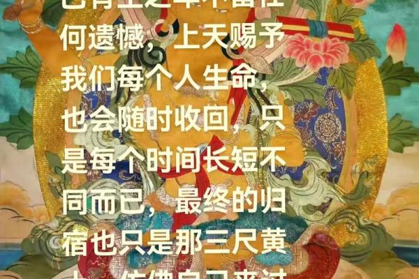 信佛人为何不信命：心灵的自由与选择的力量