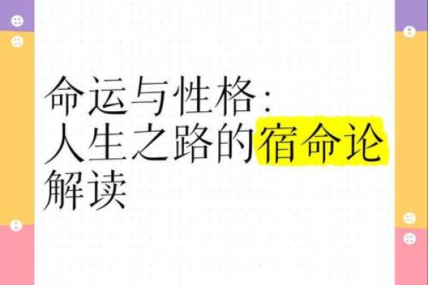 命理守恒理论：宇宙与个体命运的奇妙交织
