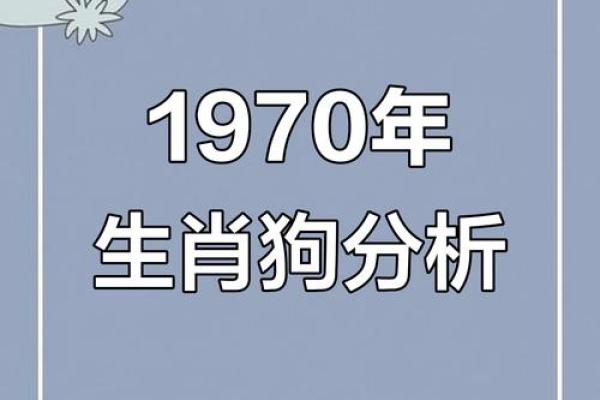 1982年狗年出生的人：命运与性格的奇妙旅程