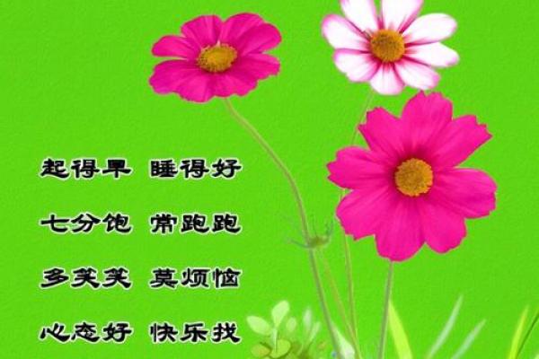 寻找美好：在日常生活中发现快乐的瞬间