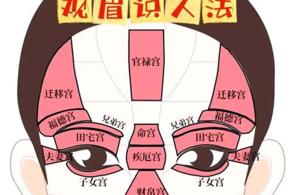 眉毛长的男人：命运与性格的奇妙联系