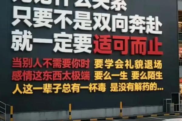 遇见好伴侣，人生路上的幸运与智慧
