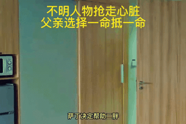 重判一命换一命的深刻含义与思考