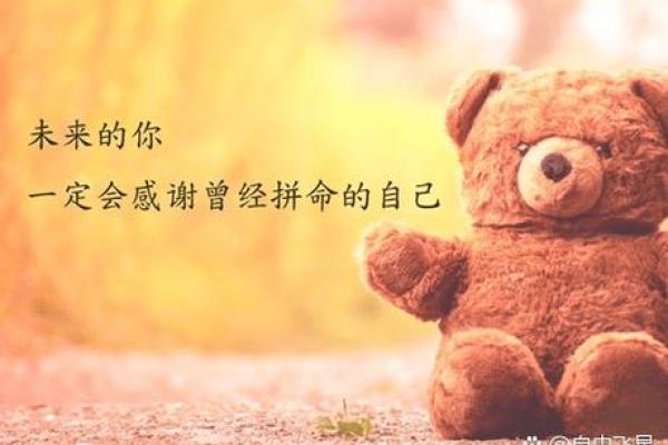 猪年出生的人命运揭秘：幸福与挑战的交织之旅