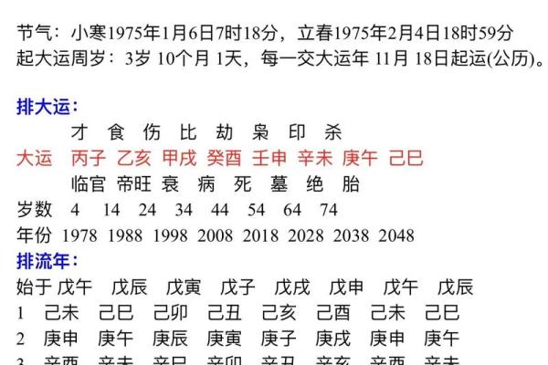 命理解读：丁酉年山下火的魅力与启示
