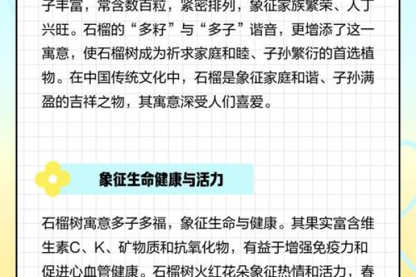 揭秘石榴木命的独特优势：为你的生活添彩的神奇木命力量！