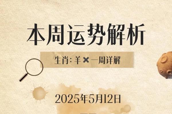 2019年羊年运势解析：79年出生的朋友必看的命运指南