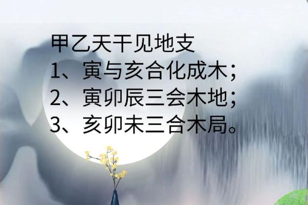 命格与相冲：如何化解冲突与促进人生的平衡