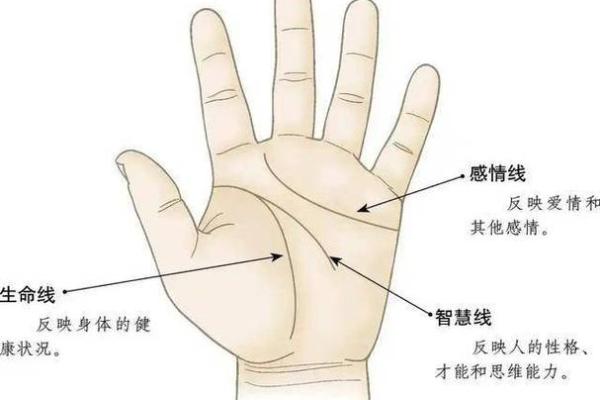 断掌纹男人的命运解析：揭开命运的神秘面纱
