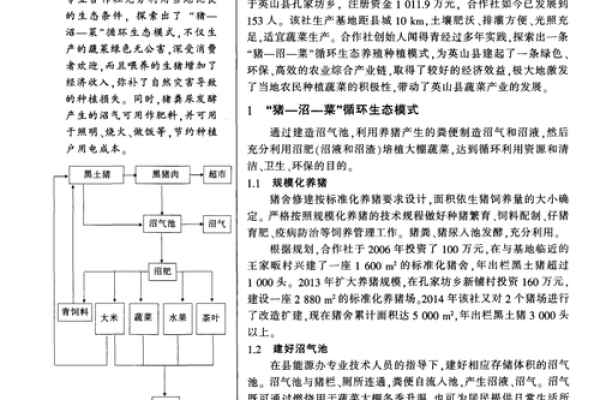 探讨木命猪适合的行业与职业发展之路