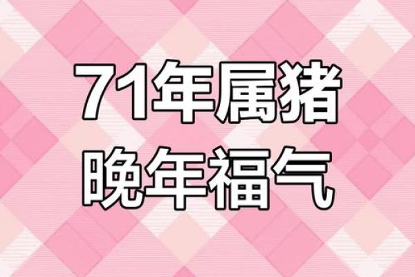 属猪女性的申时命运分析与生活智慧