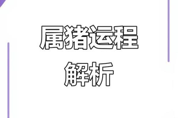 2023年属猪人的命运解析：如何迎接机遇与挑战