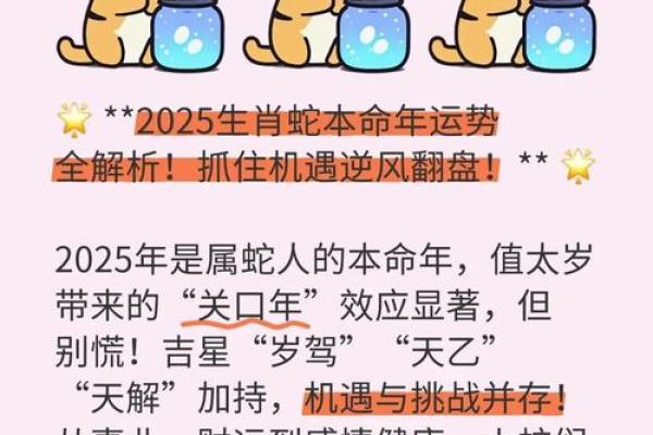 2026年属蛇人命运解析：智慧与挑战交织的一年