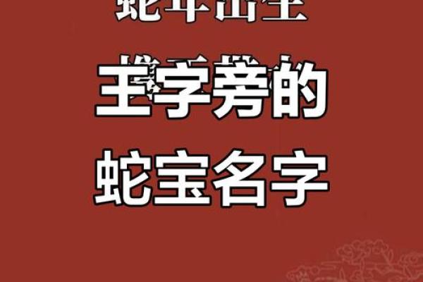 王字旁加个命，揭开命理的神秘面纱