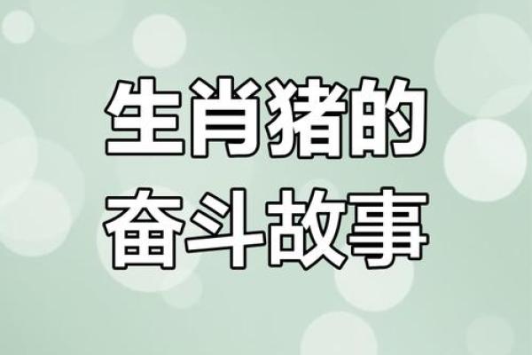 2019年属猪人的命运与生活：乐观向上的人生旅程