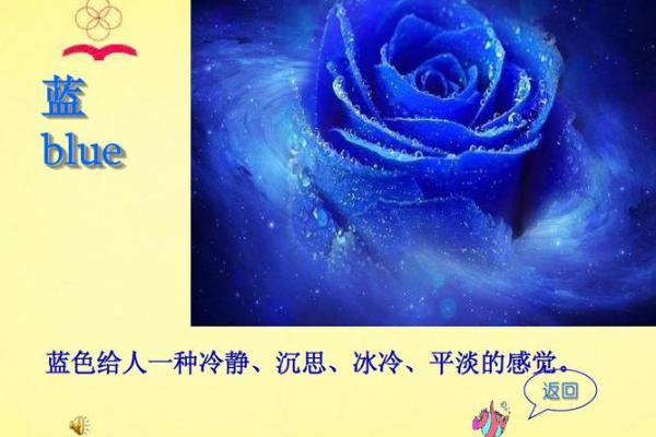 水命鼠的颜色选择：找到属于你的色彩秘密