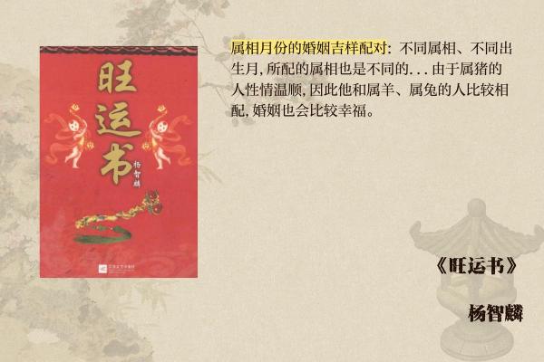 1995年属猪的命运与人生观探讨：解读猪年人的性格与运势