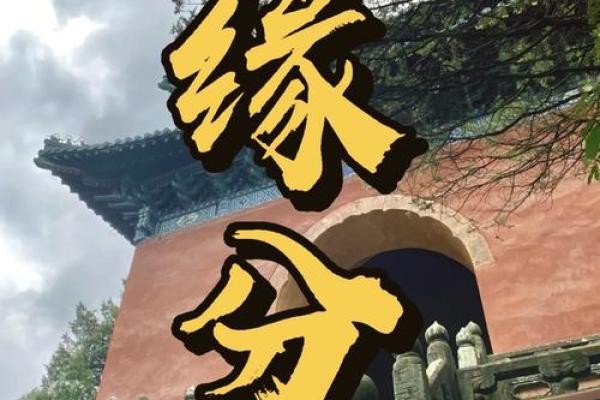 男生有童子命：深邃的命理之旅与幽秘的缘分探寻